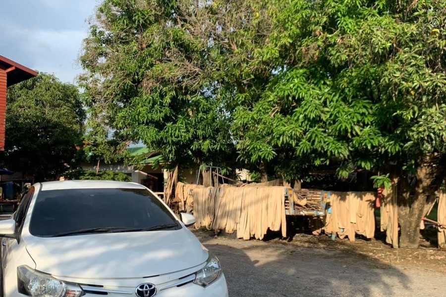 Toyota vios